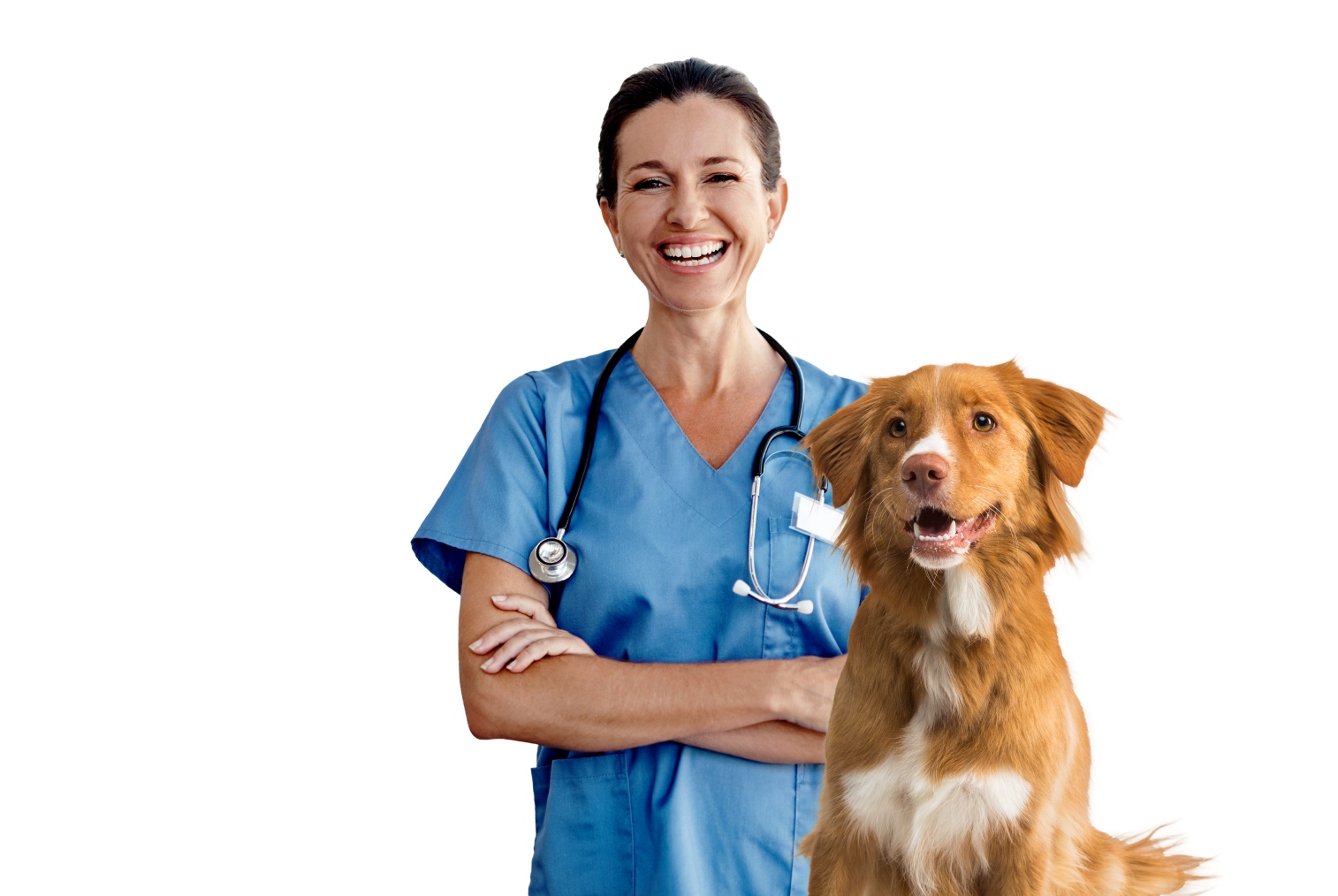 Diagnostic Veterinary Services